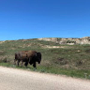 Meet your Posher, Gretchen